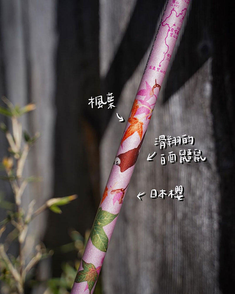 FIZAN 義大利 超輕三節式健行登山杖2入特惠組 新花色 高強度鋁合金登山杖 FZS23.7102