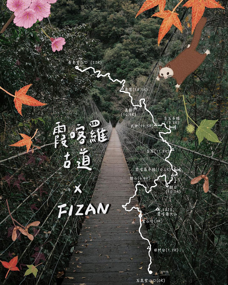 FIZAN 義大利 超輕三節式健行登山杖2入特惠組 新花色 高強度鋁合金登山杖 FZS23.7102