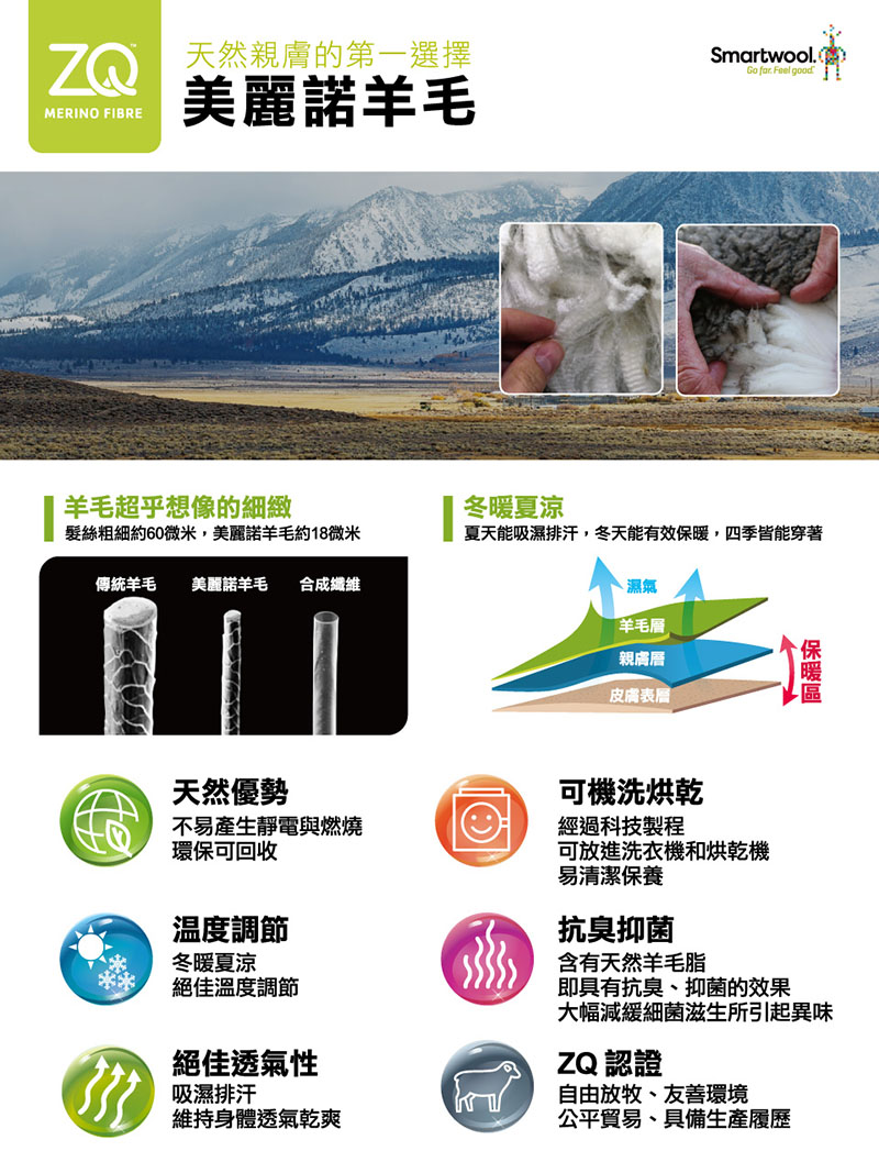 SmartWool 美國 中性款塗鴉短Tee/小熊山林 蕨綠 中性款T恤 短袖上衣 SW002777N06