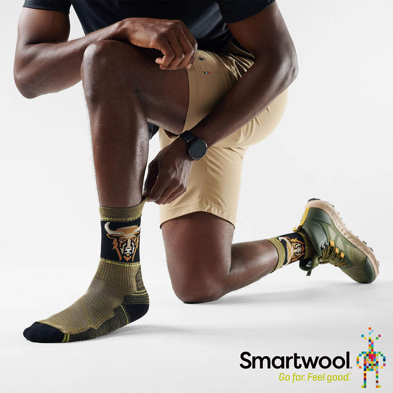 SmartWool 美國 機能戶外全輕量減震 中長襪-野牛 兩色 M L 羊毛襪 登山襪 SW003049