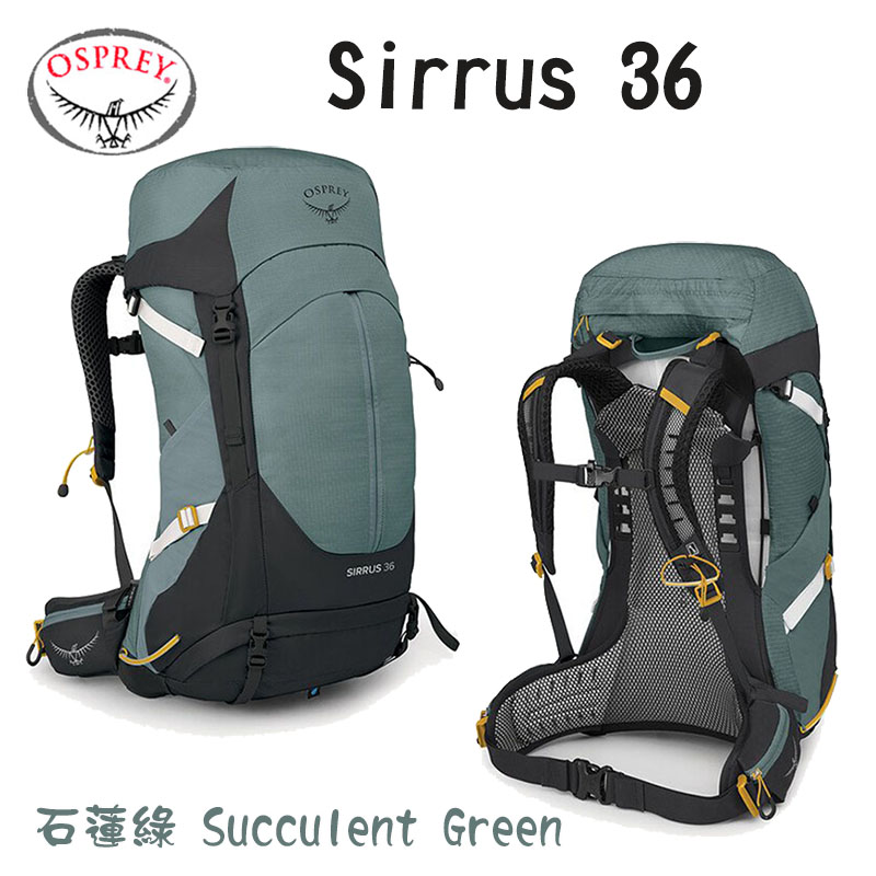 OSPREY 美國 Sirrus 36 女款登山背包 石蓮綠 紫/赤褐 36L 健行背包 女款透氣網架背包 旅行背包