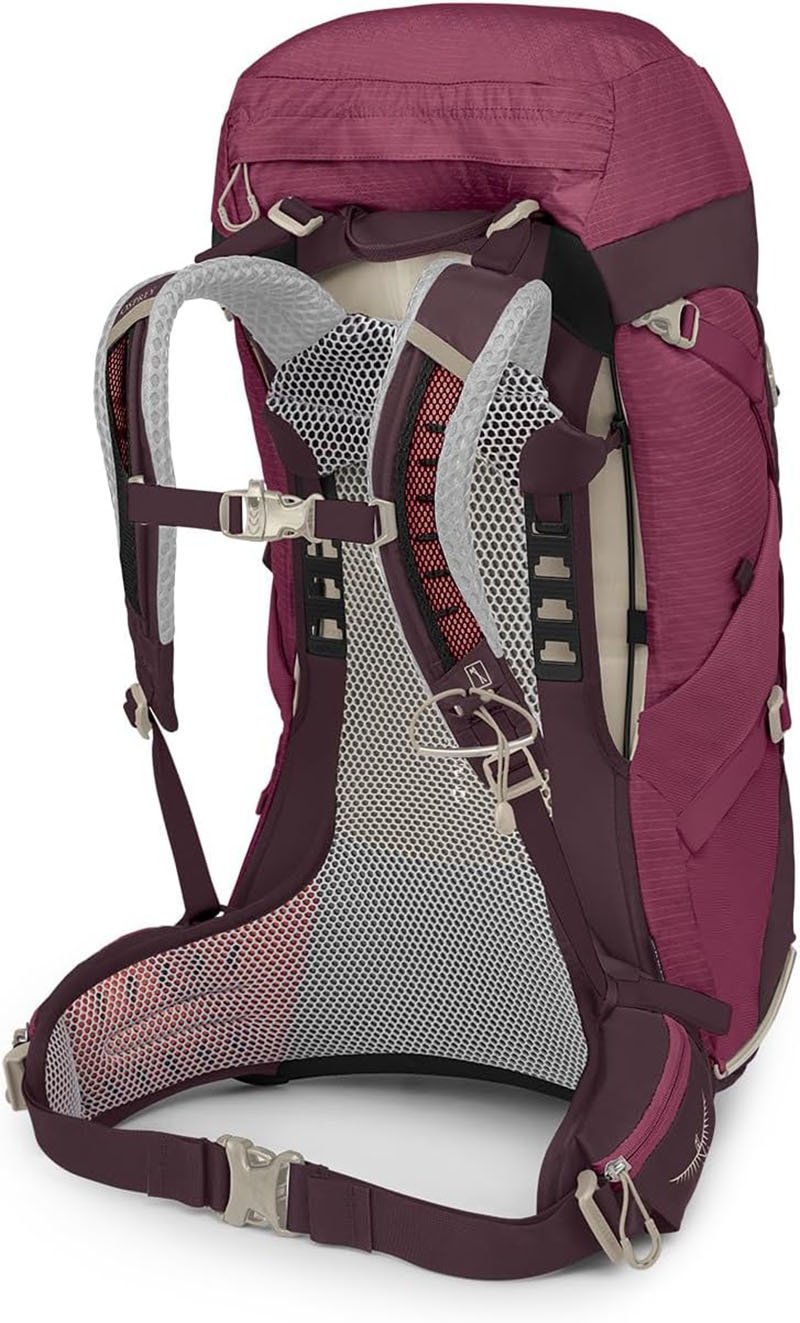 OSPREY 美國 Sirrus 36 女款登山背包 石蓮綠 紫/赤褐 36L 健行背包 女款透氣網架背包 旅行背包