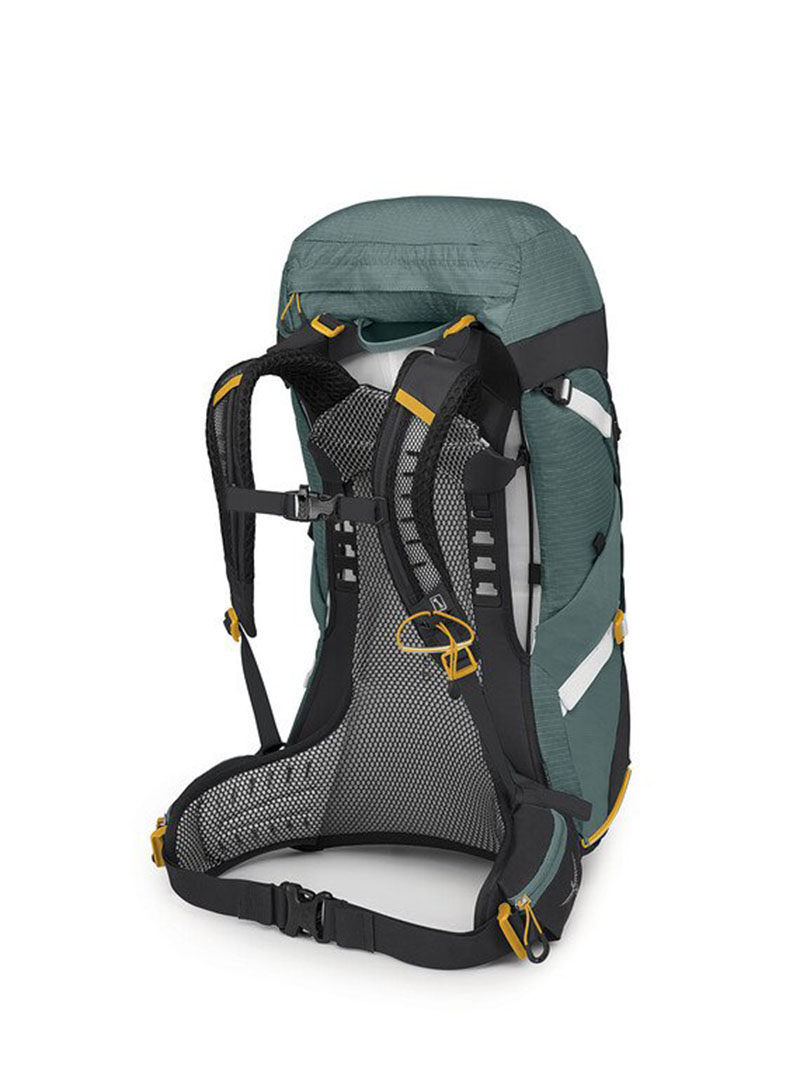 OSPREY 美國 Sirrus 36 女款登山背包 石蓮綠 紫/赤褐 36L 健行背包 女款透氣網架背包 旅行背包