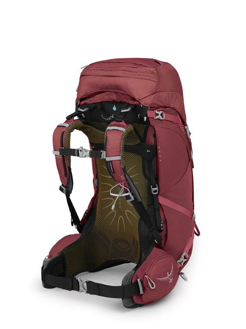 Osprey 美國 Aura AG 50 女款專業登山背包 莓果冰沙 健行背包 露營 50L 戶外 旅行