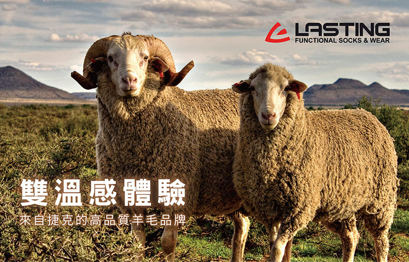 LASTING 捷克 X-STATIC 短襪 白 黑 運動襪 休閒襪 保暖襪 LT-XOS