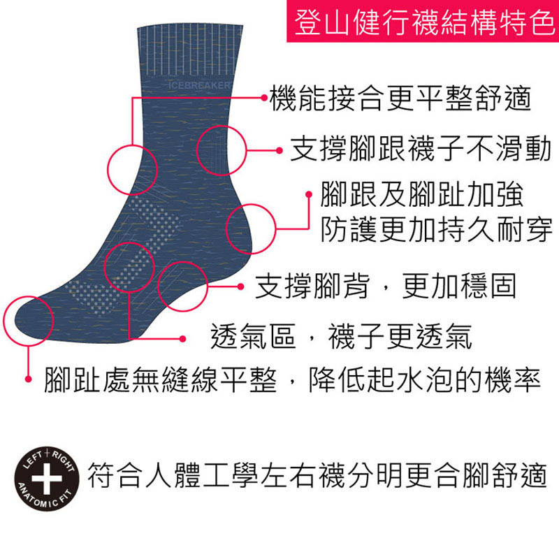 Icebreaker 紐西蘭 女 中筒中毛圈健行襪(+) 三色 羊毛襪 登山襪 IB105097
