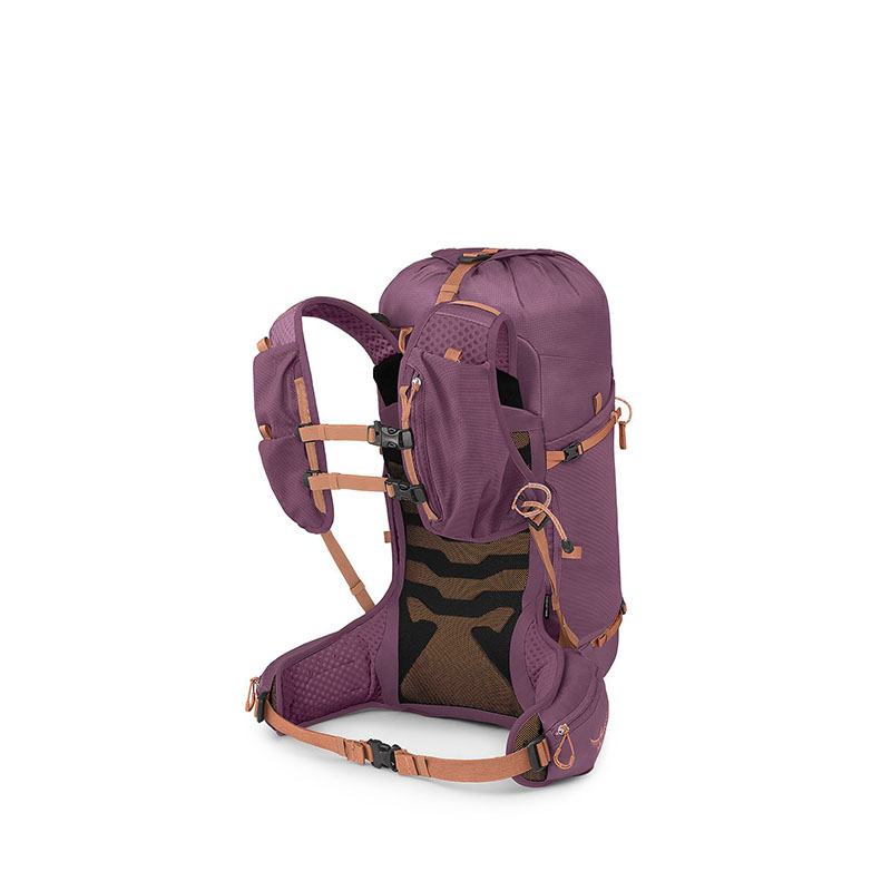 Osprey 美國 Tempest Velocity 30 女款登山背包 XS/S 羊絨紫/黃 30L背包
